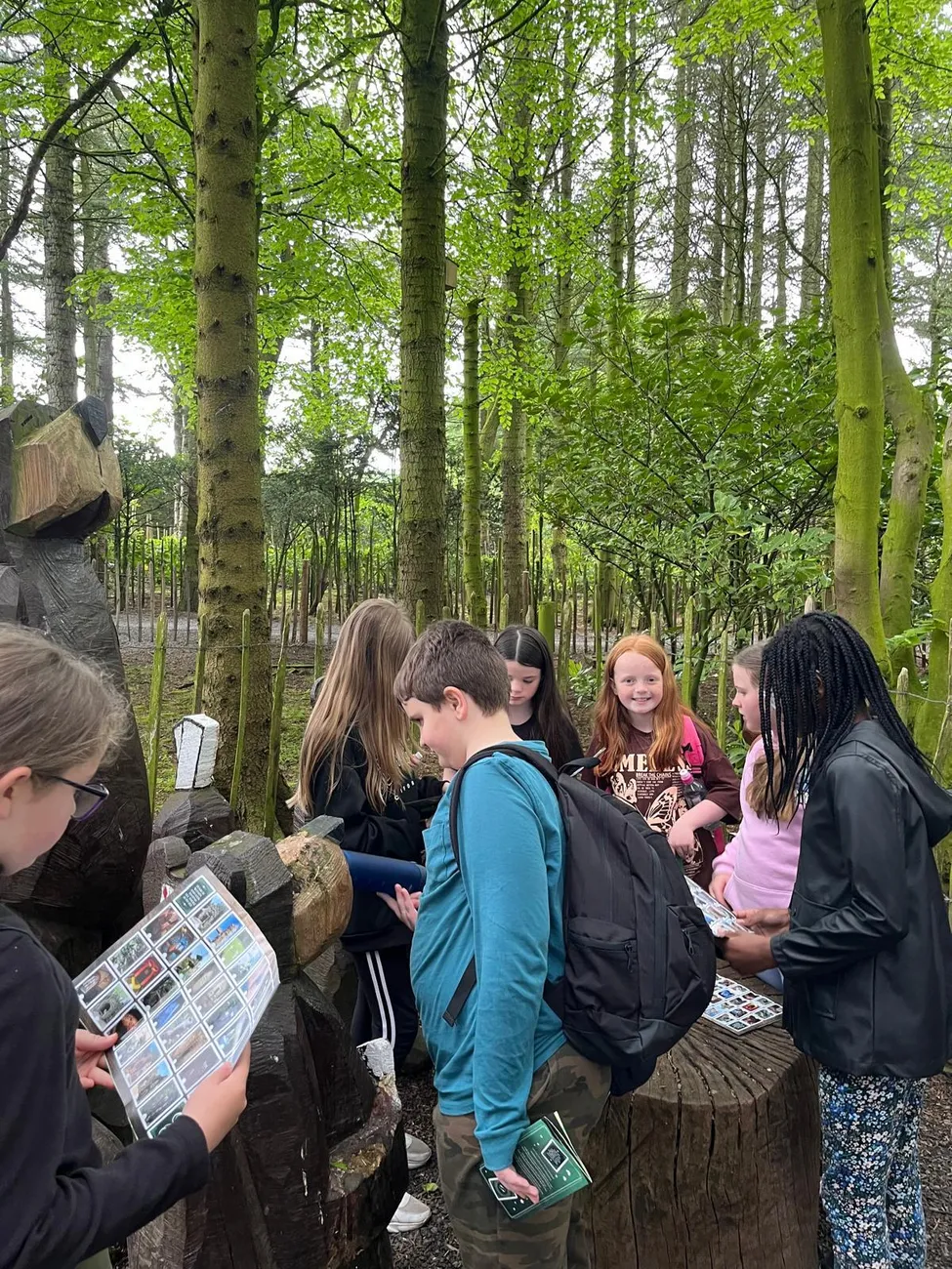 Gallery - created at 2024-06-06 15:19:10 - image 15