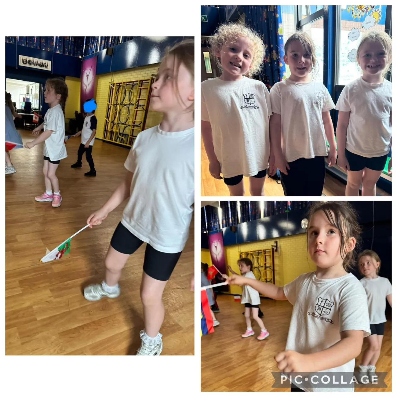 PE - image 1