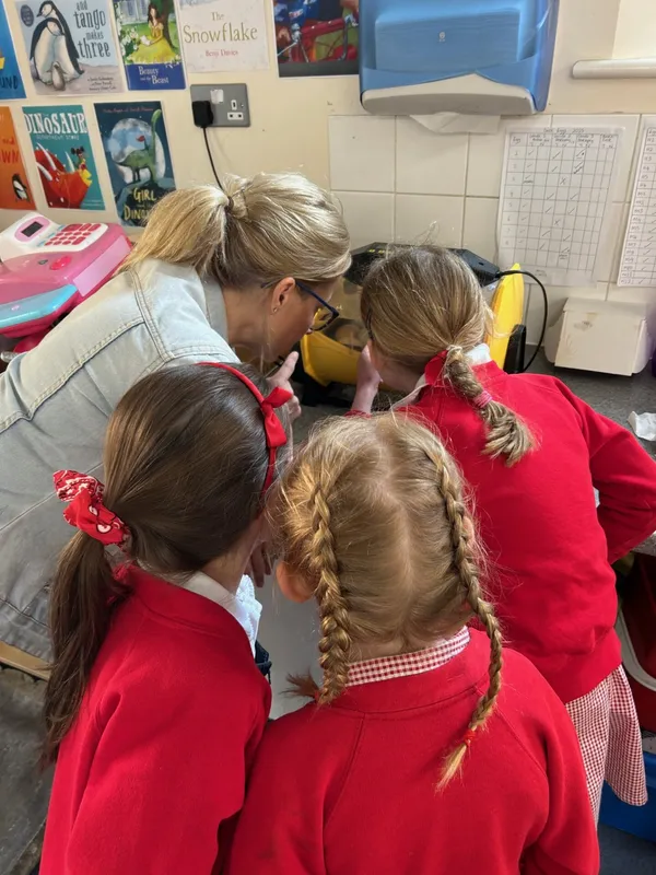 Gallery - created at 2025-05-15 20:09:46 - image 8