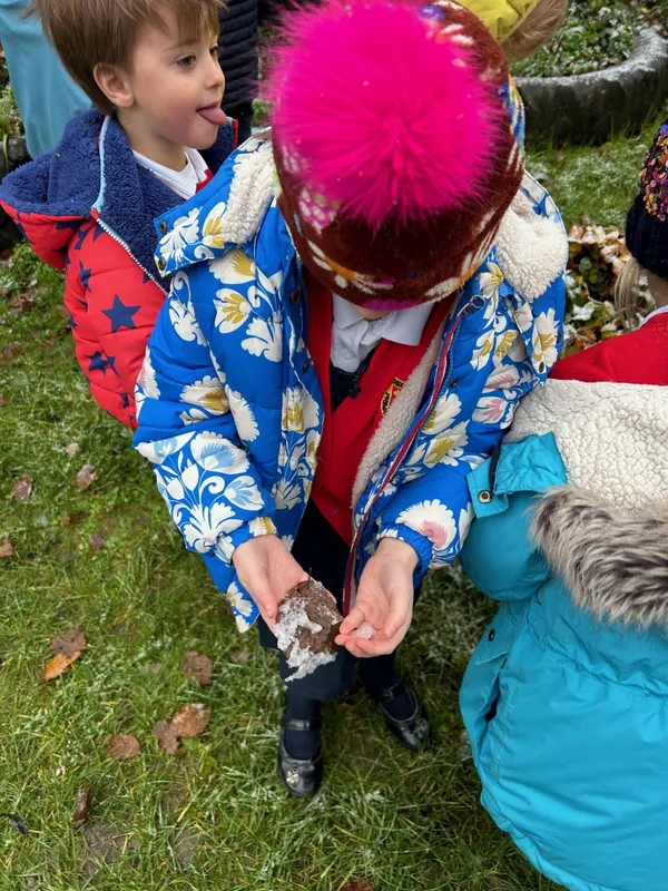 Gallery - created at 2024-11-22 07:00:31 - image 3