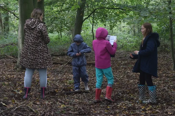 Gallery 6 - image 13