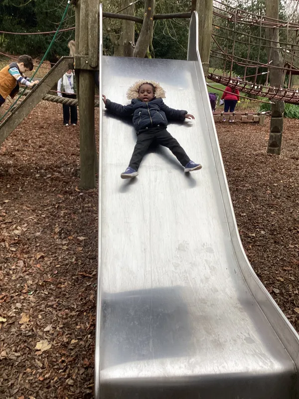 Gallery - created at 2024-11-08 10:10:59 - image 7 Gallery - created at 2024-11-08 10:10:59 - image 7