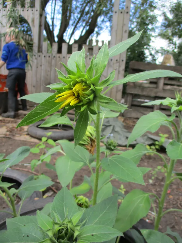 Gallery - created at 2019-01-15 14:42:50 - image 30