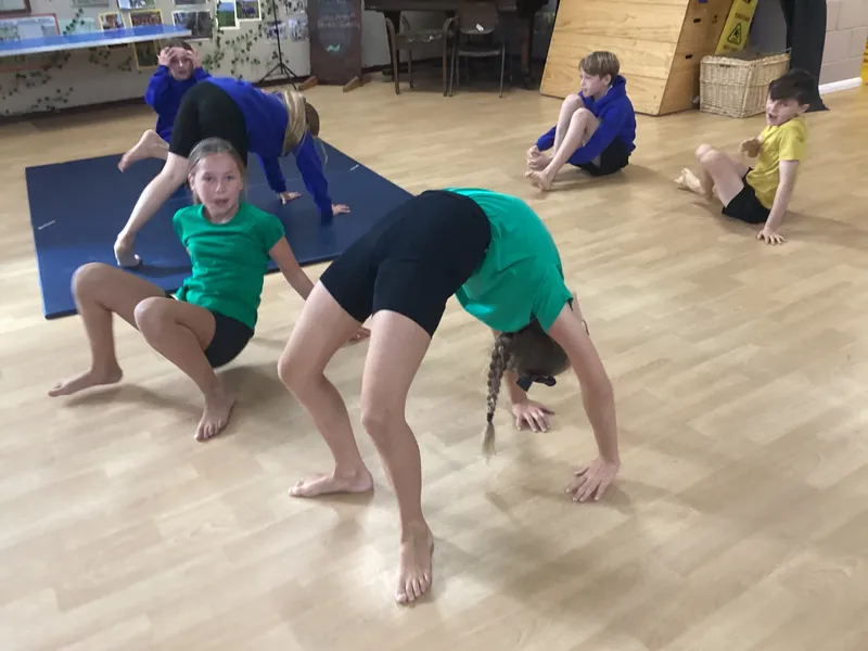 In PE we have been exploring twisted shapes. We linked balances together with different ways to travel - image 2 In PE we have been exploring twisted shapes. We linked balances together with different ways to travel - image 2