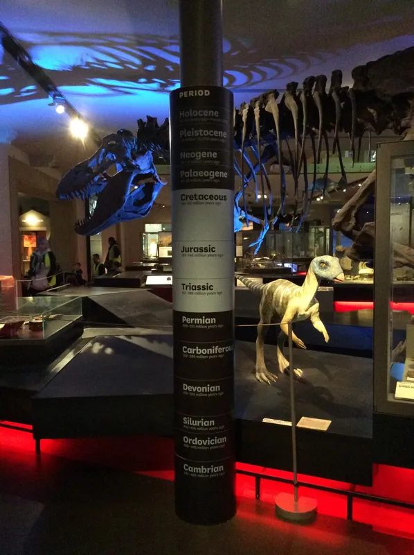 Gallery - created at 2024-02-09 11:53:37 - image 71