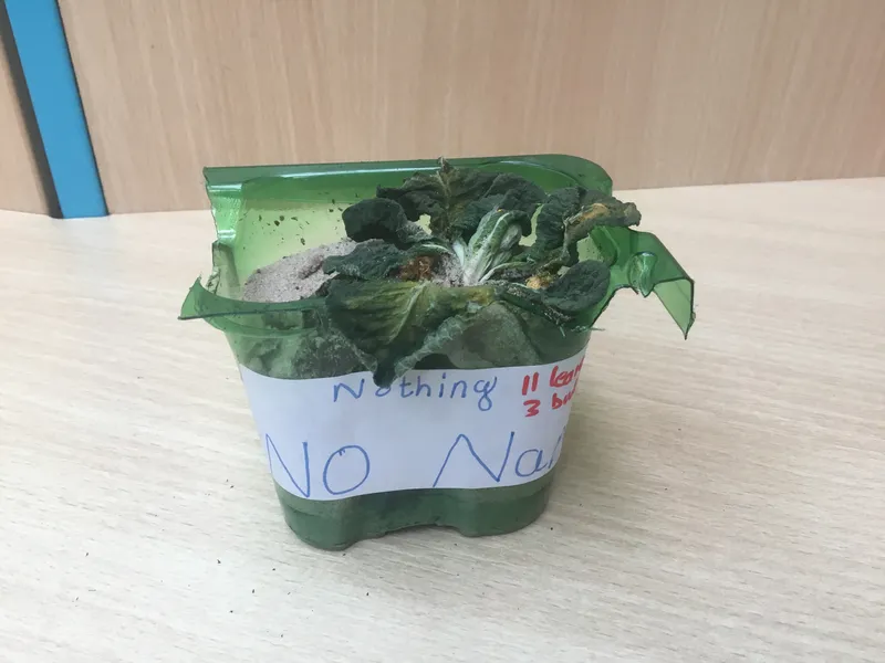 Gallery - created at 2021-04-16 07:58:15 - image 2 Gallery - created at 2021-04-16 07:58:15 - image 2