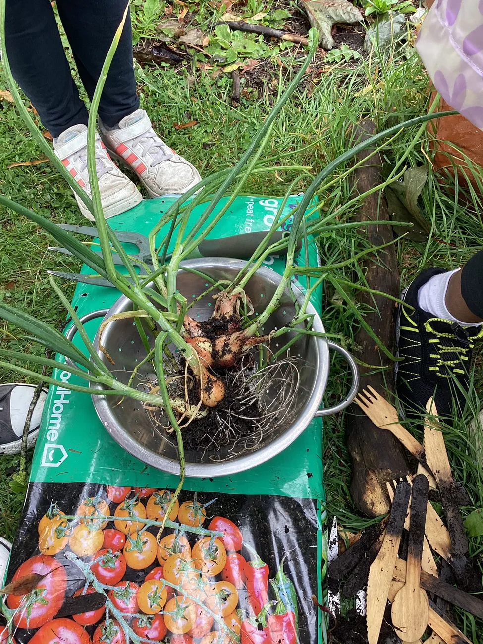 Gallery - created at 2023-09-07 16:46:06 - image 19 Gallery - created at 2023-09-07 16:46:06 - image 19