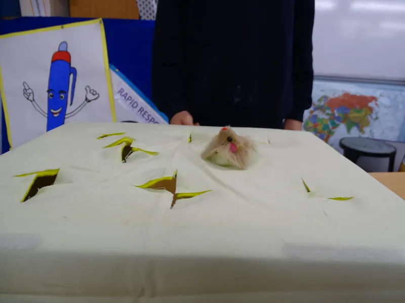 Gallery - created at 2019-12-09 14:11:29 - image 56 Gallery - created at 2019-12-09 14:11:29 - image 56