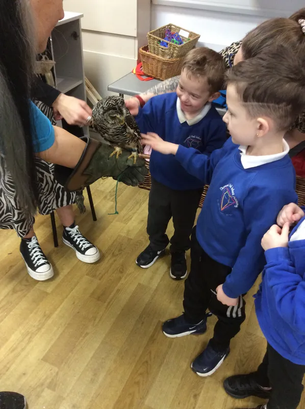 Gallery - created at 2024-02-26 17:15:57 - image 79 Gallery - created at 2024-02-26 17:15:57 - image 79