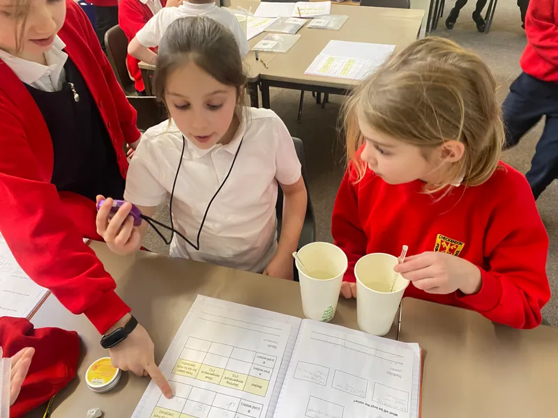 Gallery - created at 2025-02-07 17:02:43 - image 8