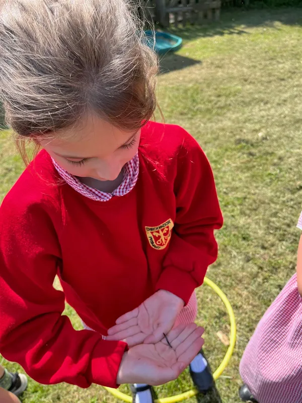 Gallery - created at 2023-06-09 12:14:52 - image 6