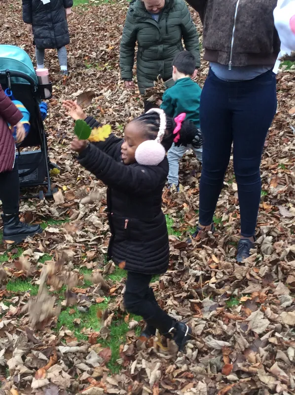 Gallery - created at 2024-11-05 15:27:50 - image 11 Gallery - created at 2024-11-05 15:27:50 - image 11