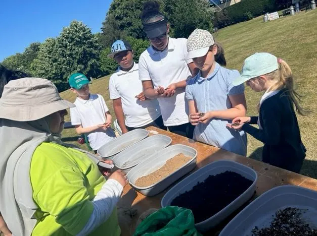 Gallery - created at 2024-01-29 10:37:39 - image 6