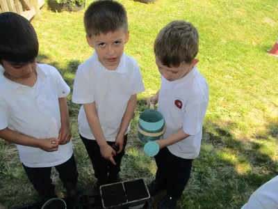 Planting - image 48