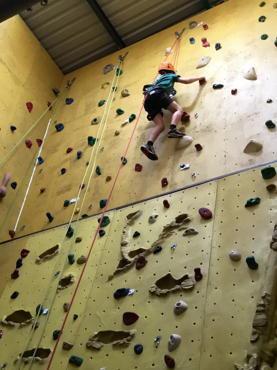 Gallery - created at 2024-09-19 19:48:04 - image 12 Gallery - created at 2024-09-19 19:48:04 - image 12