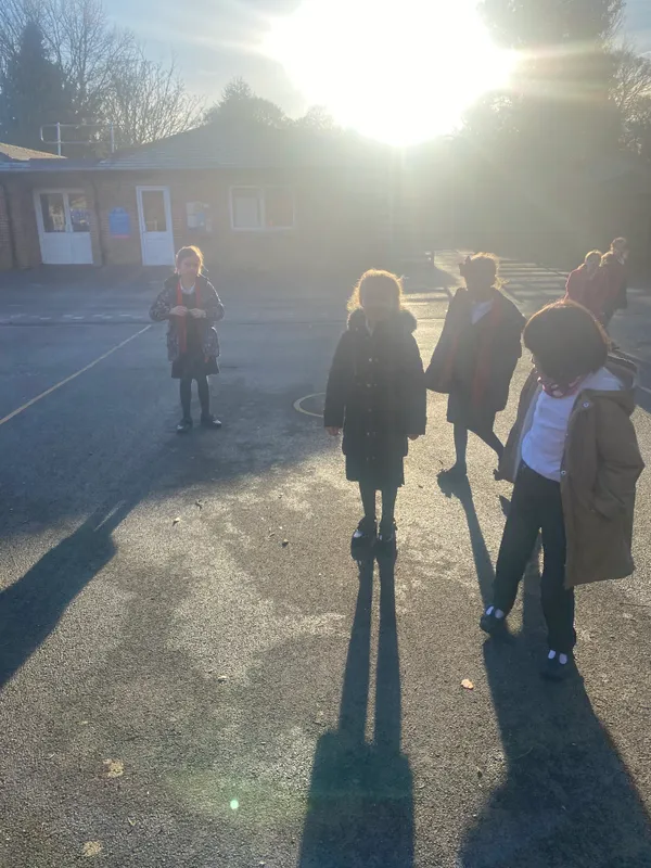 Gallery - created at 2024-11-29 15:30:37 - image 4