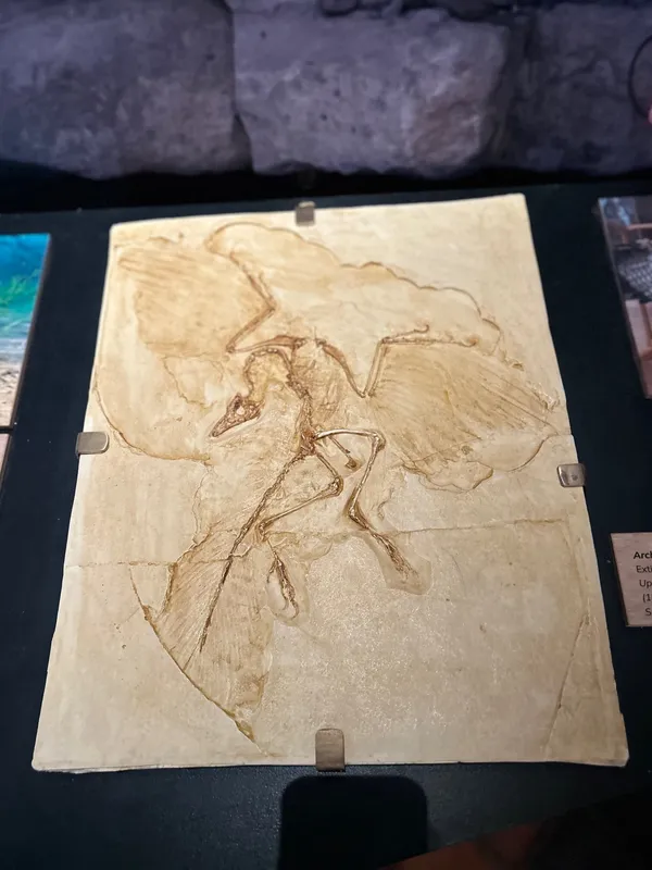 Gallery - created at 2025-05-15 20:19:39 - image 11