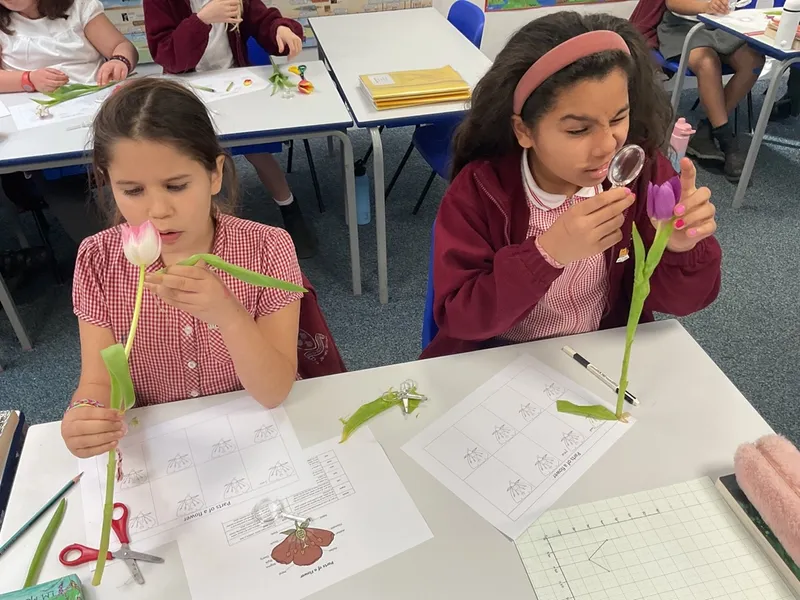 Year 5 - image 5