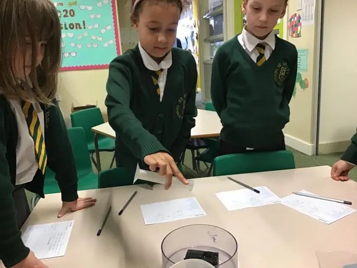 Gallery - created at 2020-11-25 12:53:18 - image 3