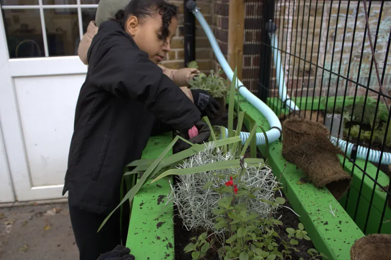 Gallery - created at 2025-11-18 16:17:46 - image 6