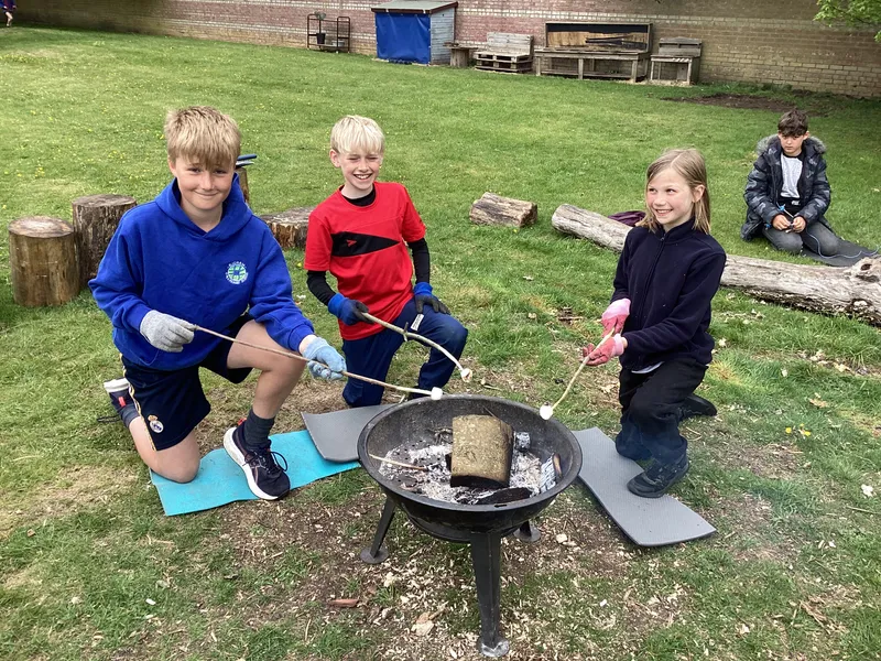 Forest Schools Class 4 - image 13