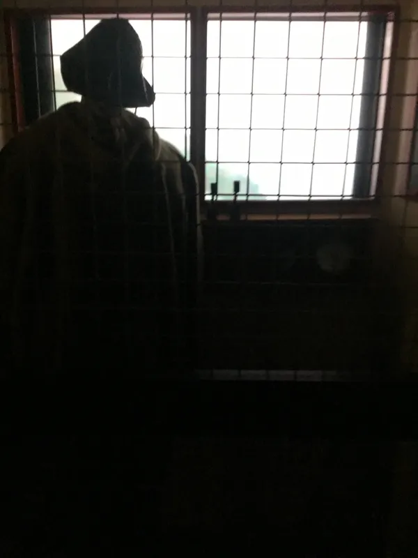 Eden camp 23rd Sept 2025 - image 16