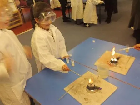 Gallery - created at 2018-01-17 17:01:08 - image 7