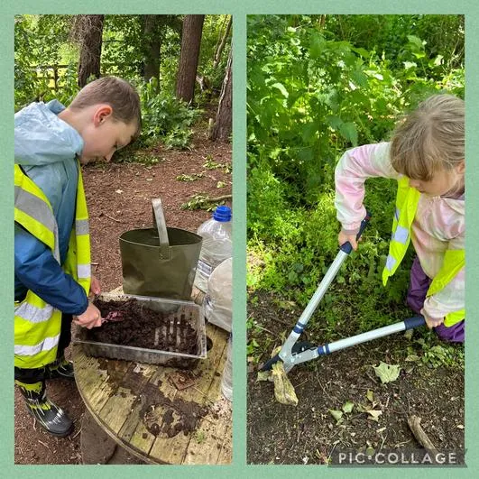 Summer 2024 - 5th June - Oaks - Mud Hedgehogs, Hedgehog Houses and Toffee Apples - image 4 Summer 2024 - 5th June - Oaks - Mud Hedgehogs, Hedgehog Houses and Toffee Apples - image 4
