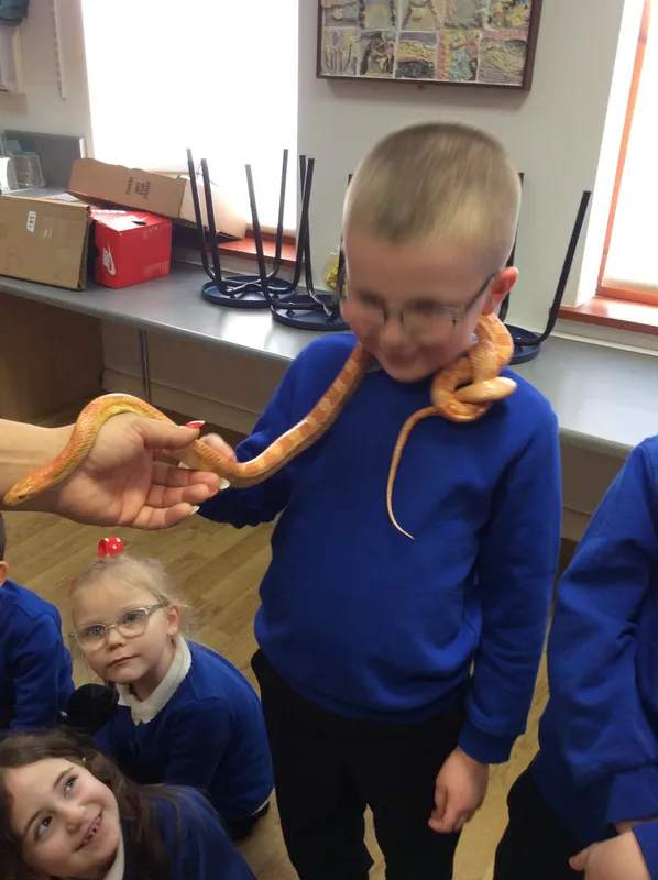 Gallery - created at 2024-02-26 17:15:57 - image 53 Gallery - created at 2024-02-26 17:15:57 - image 53