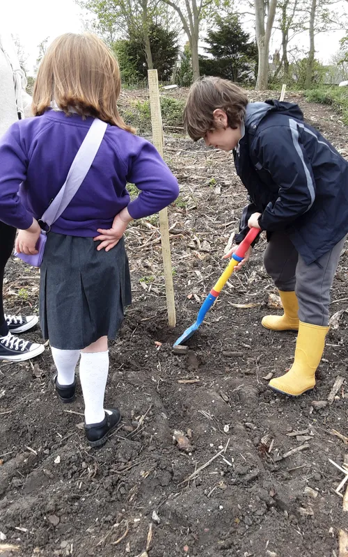 Gallery - created at 2025-04-30 13:12:16 - image 11 Gallery - created at 2025-04-30 13:12:16 - image 11