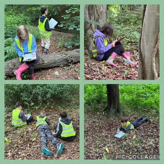 Forest School 2 - image 4 Forest School 2 - image 4