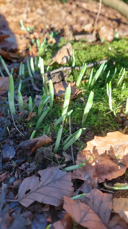 Gallery - created at 2023-01-20 13:19:04 - image 3