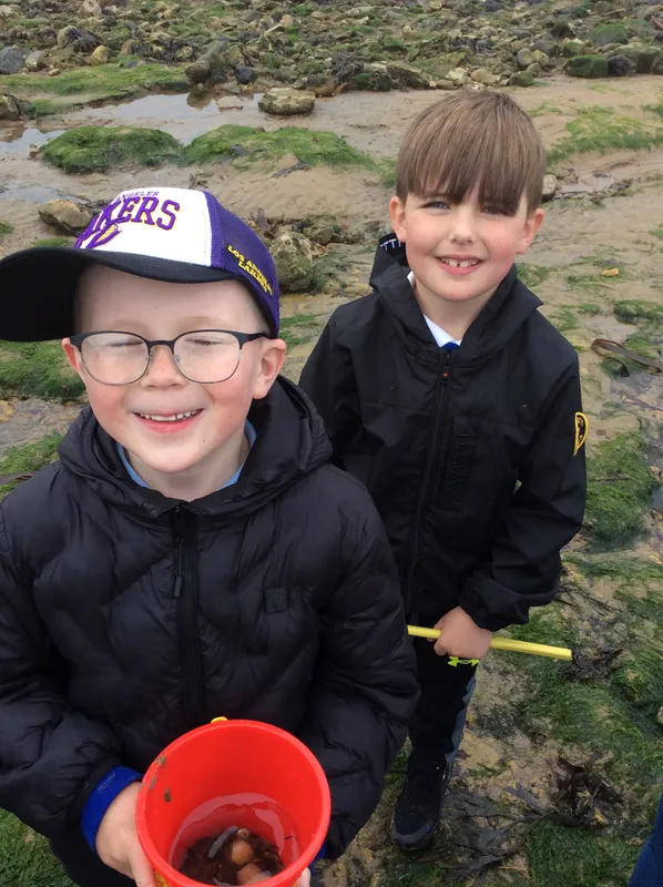 Gallery - created at 2024-05-23 10:29:28 - image 6