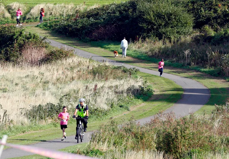 Gallery - created at 2017-09-11 15:35:54 - image 10