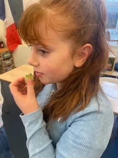 French Day - image 13