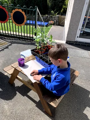 Outdoor Learning Area - image 5