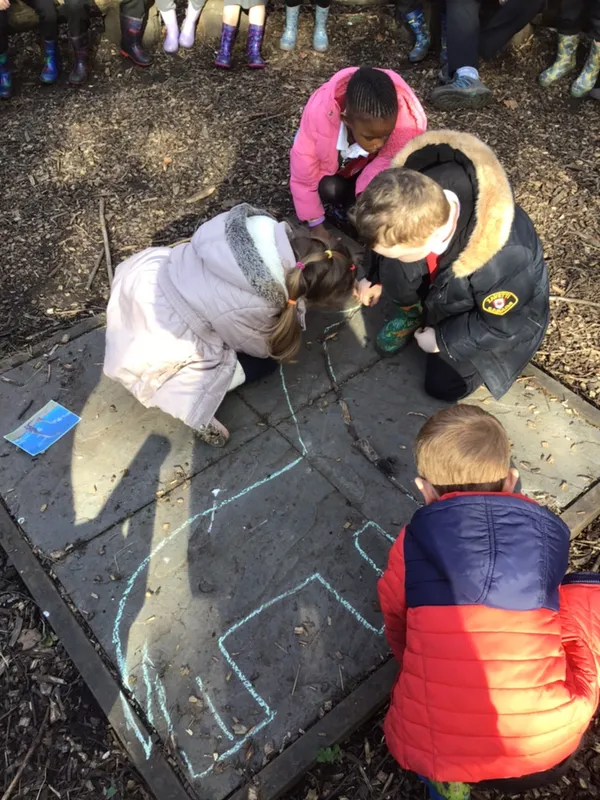 Forest School Dinosaurs - DT - image 14