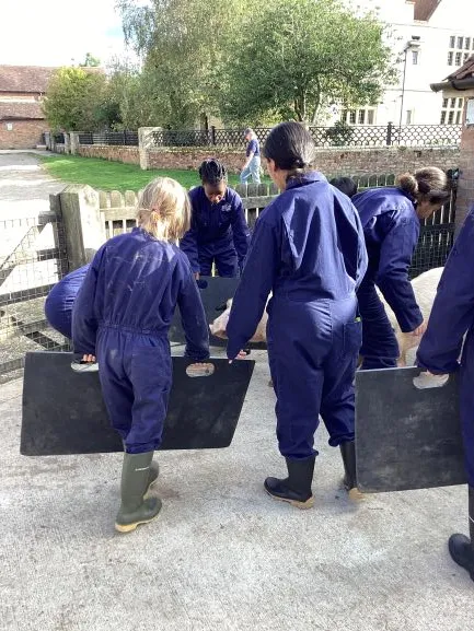 Farm 2025 - Gallery 3 - image 32