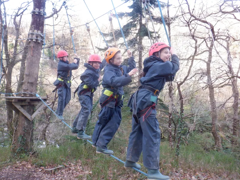 Gallery - created at 2025-02-27 19:57:56 - image 30