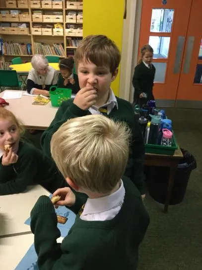 Gallery - created at 2020-11-26 10:41:30 - image 7