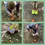 Forest School 35 - image 3 Forest School 35 - image 3