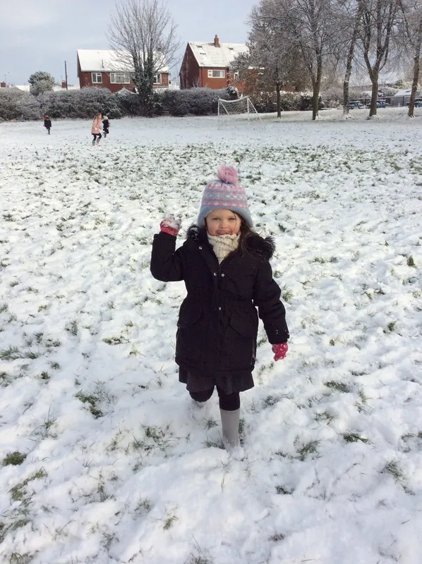 Snow - image 2