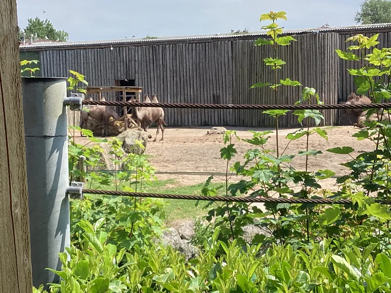 Blackpool zoo - image 10