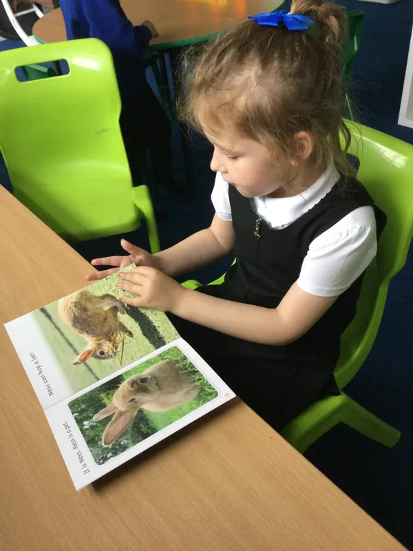 Seren Bank - Phonics - image 3 Seren Bank - Phonics - image 3