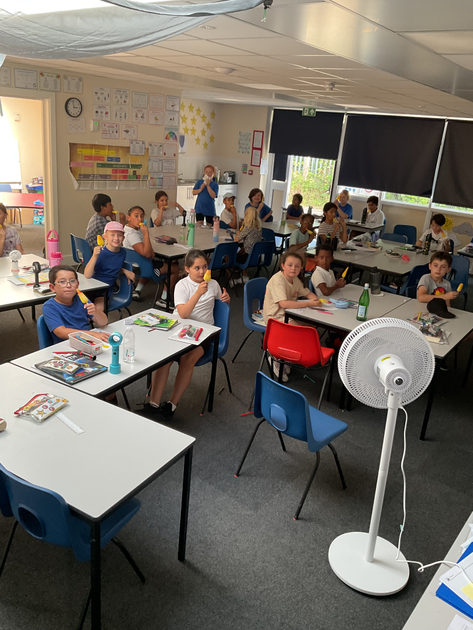 year 4 Summer 2 week 4