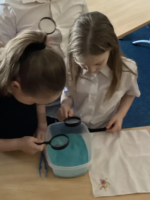 KW forensic - image 5 KW forensic - image 5