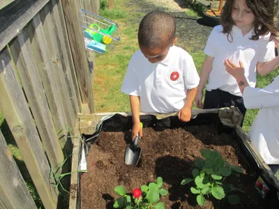 Planting - image 46
