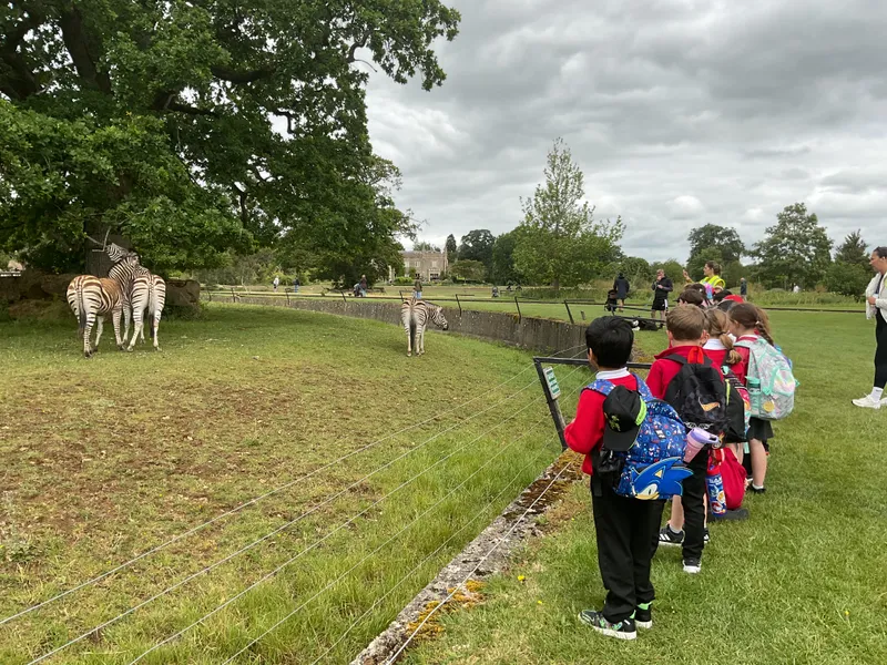 Year 1 trip to Cotswold Wildlife Park - image 10 Year 1 trip to Cotswold Wildlife Park - image 10