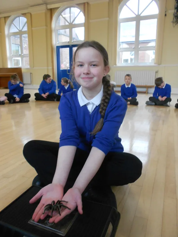 Y6 Reptile Rendezvous - image 70