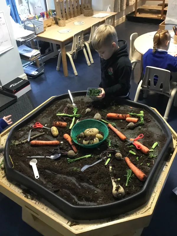 Nursery planting  - image 2